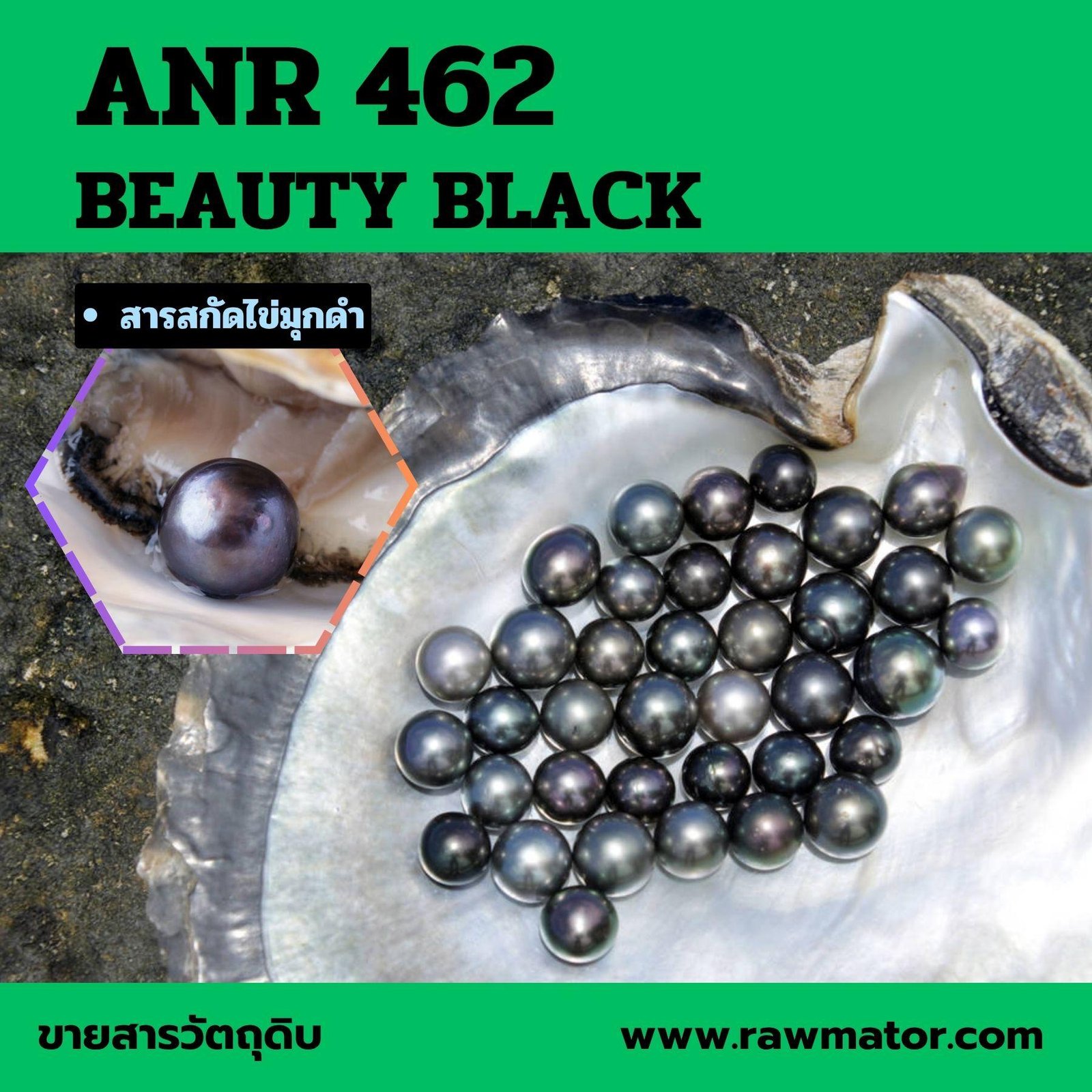 ANR 462 : BEAUTY BLACK