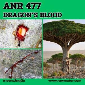 ANR 477 : DRAGON BLOOD