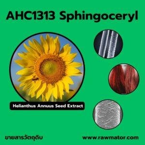 S1313 : Sphingoceryl