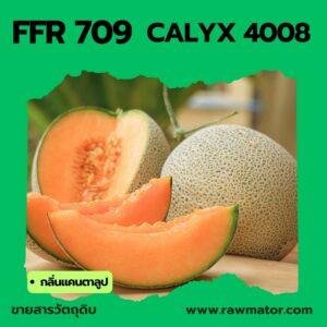 L709 : CALYX 4008