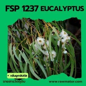 L1237 : EUCALYPTUS