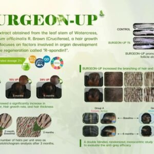 Alternative view of AHG 1567 : BURGEON-UP CAS NO.84775-70-2