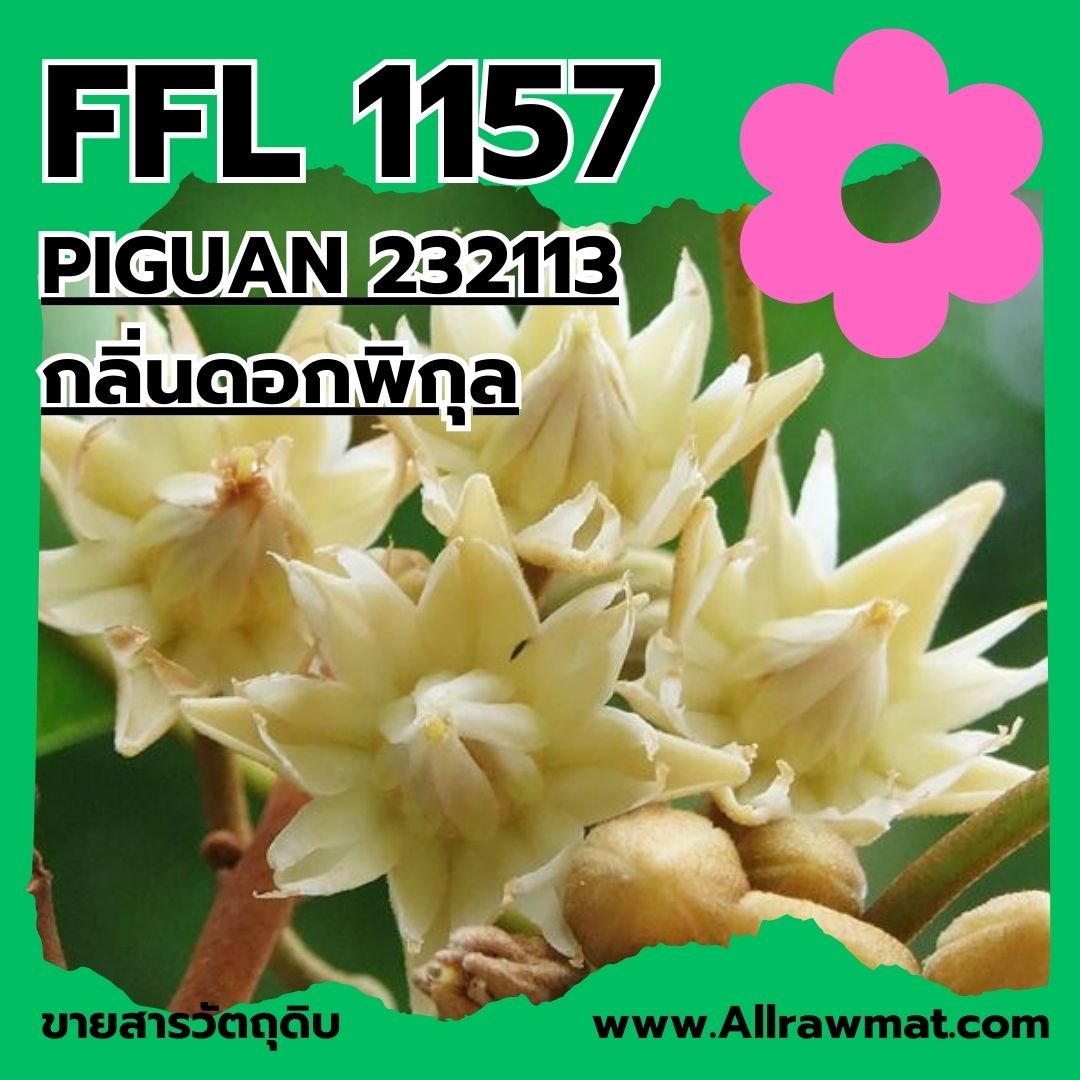 L1157 : PIGUAN 232113