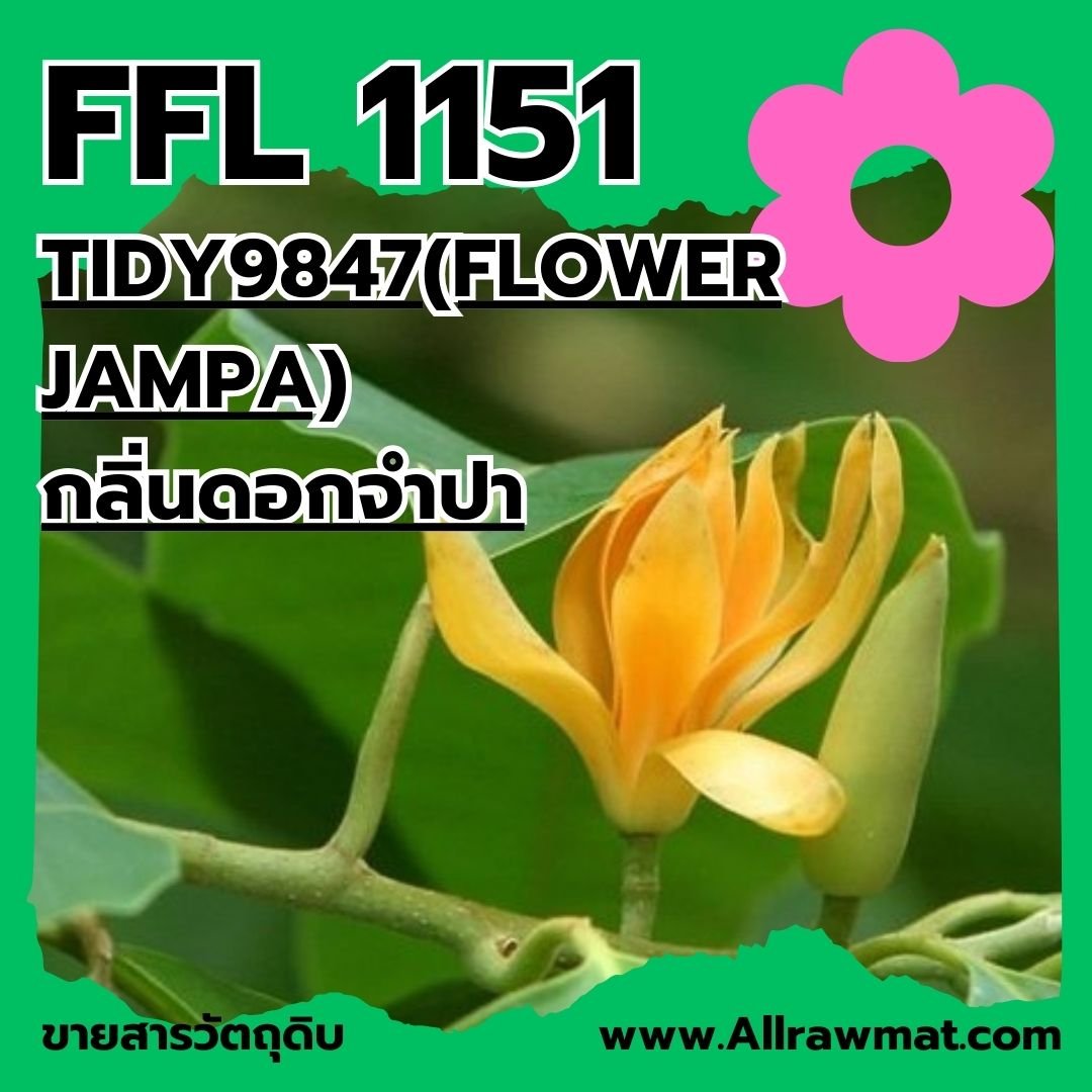 L1151 : TIDY9847(FLOWER JAMPA)