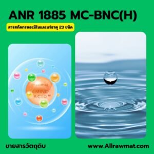 ANR 1885 : MC-BNC(H)