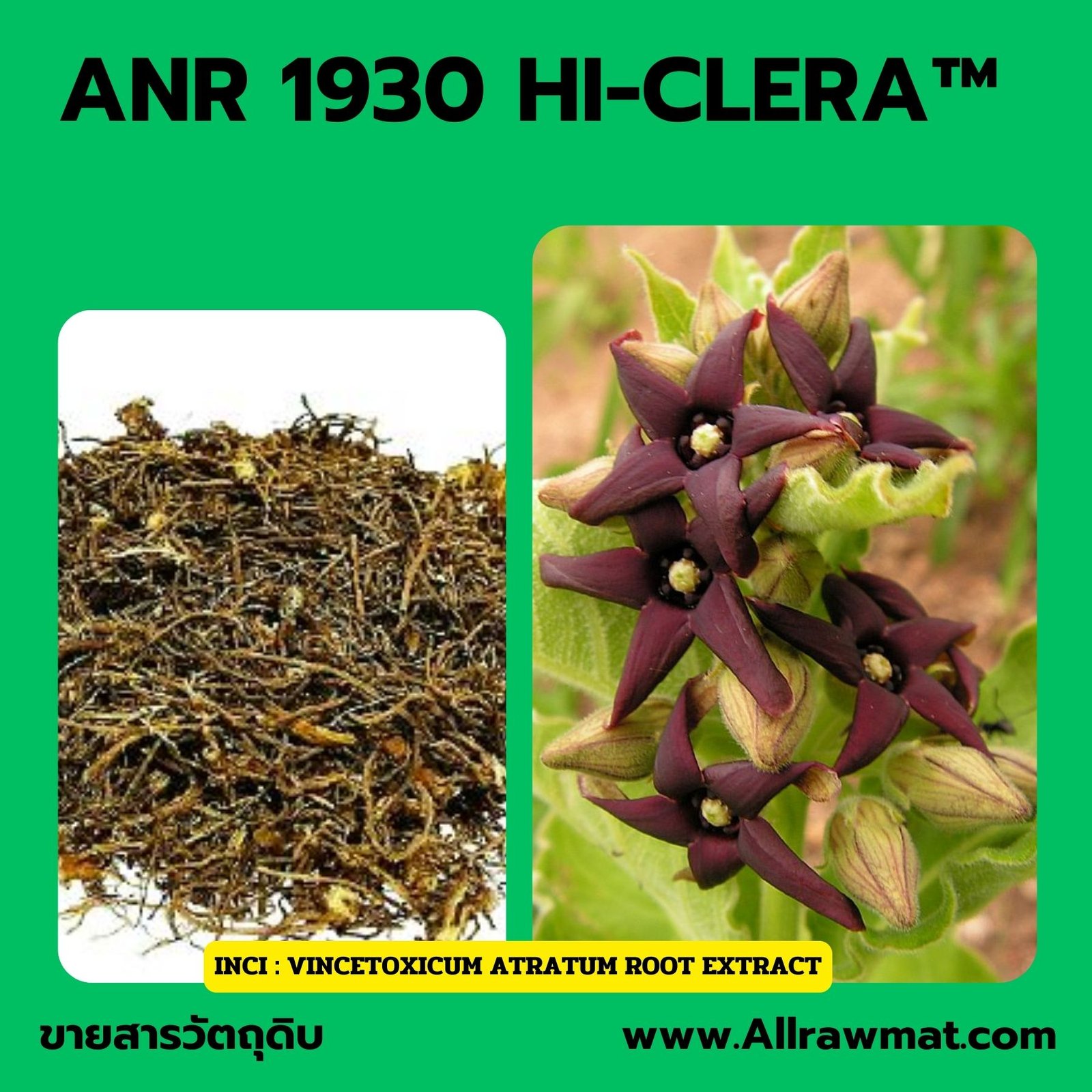 ANR 1930 : HI-CLERA™