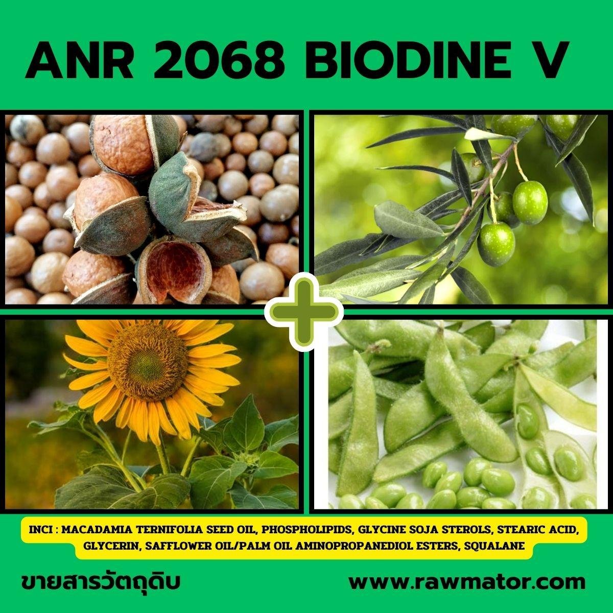ANR 2068 : BIODINE V