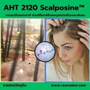 AHT 2120 : SCALPOSINE™