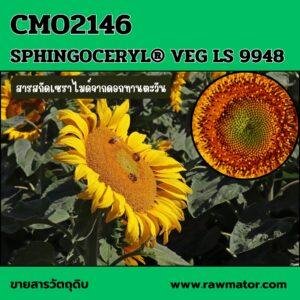 CMO 2146 : SPHINGOCERYL® VEG LS 9948 (สารสกัดเซราไมด์จากดอกทานตะวัน)