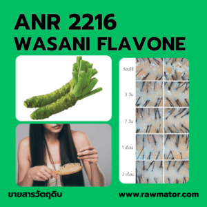 ANR 2216 : WASANI FLAVONE