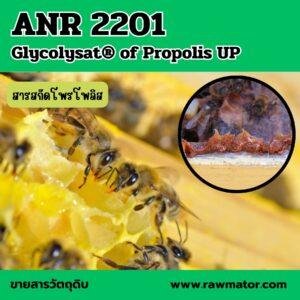 ANR 2201 : Glycolysat® of Propolis UP สารสกัดโพรโพลิส