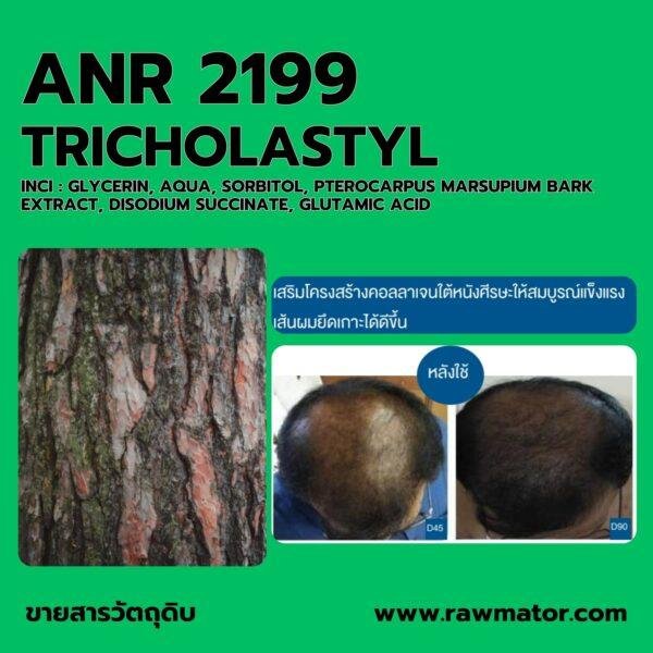 ANR 2199 : TRICHOLASTYL