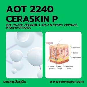 AOT 2240 : CERASKIN P