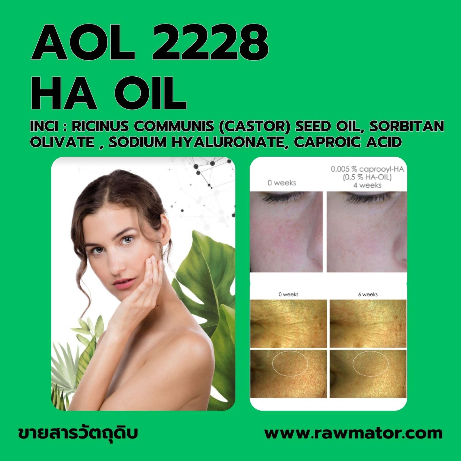 AOL 2228 : HA OIL