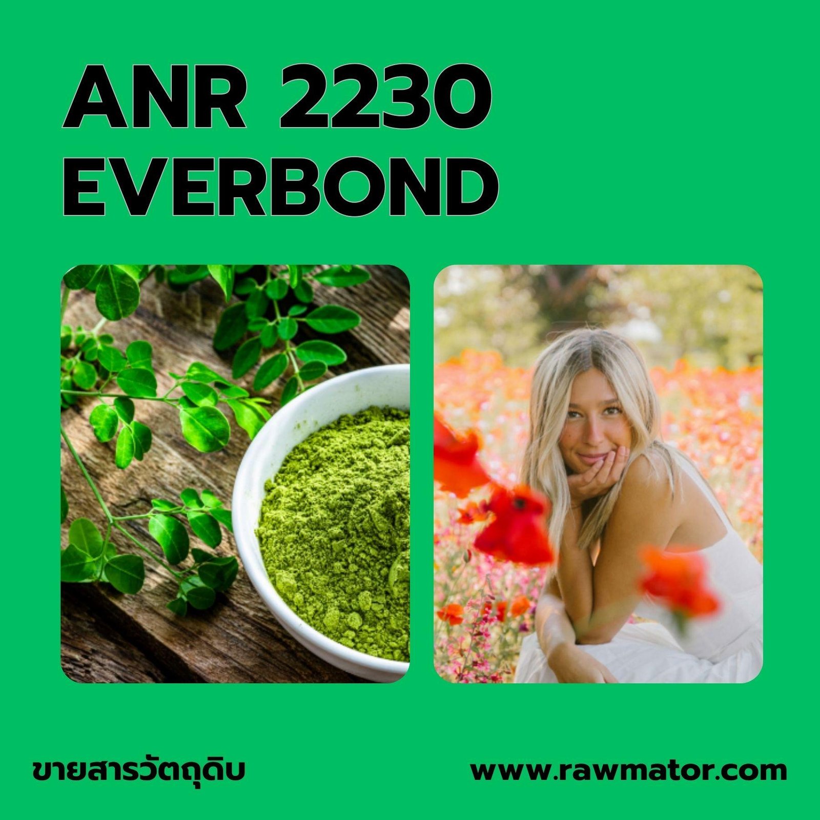 ANR 2230 : EVERBOND