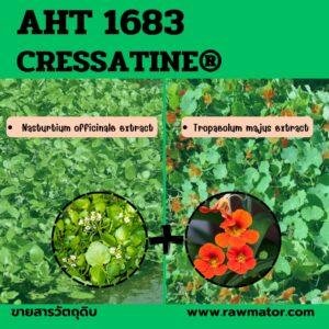 AHT 1683 : CRESSATINE®