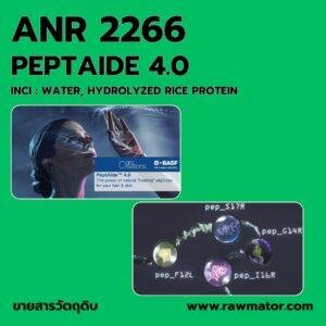 ANR 2266 : PEPTAIDE 4.0