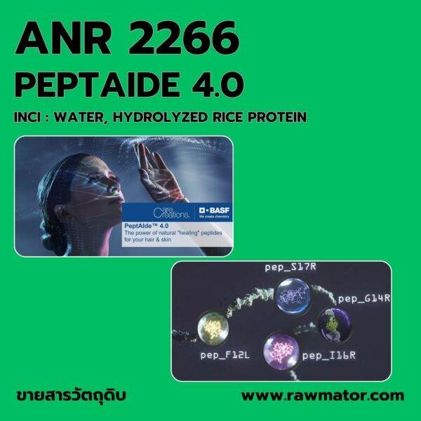 ANR 2266 : PEPTAIDE 4.0