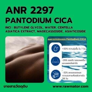 ANR 2297 : PANTODIUM CICA