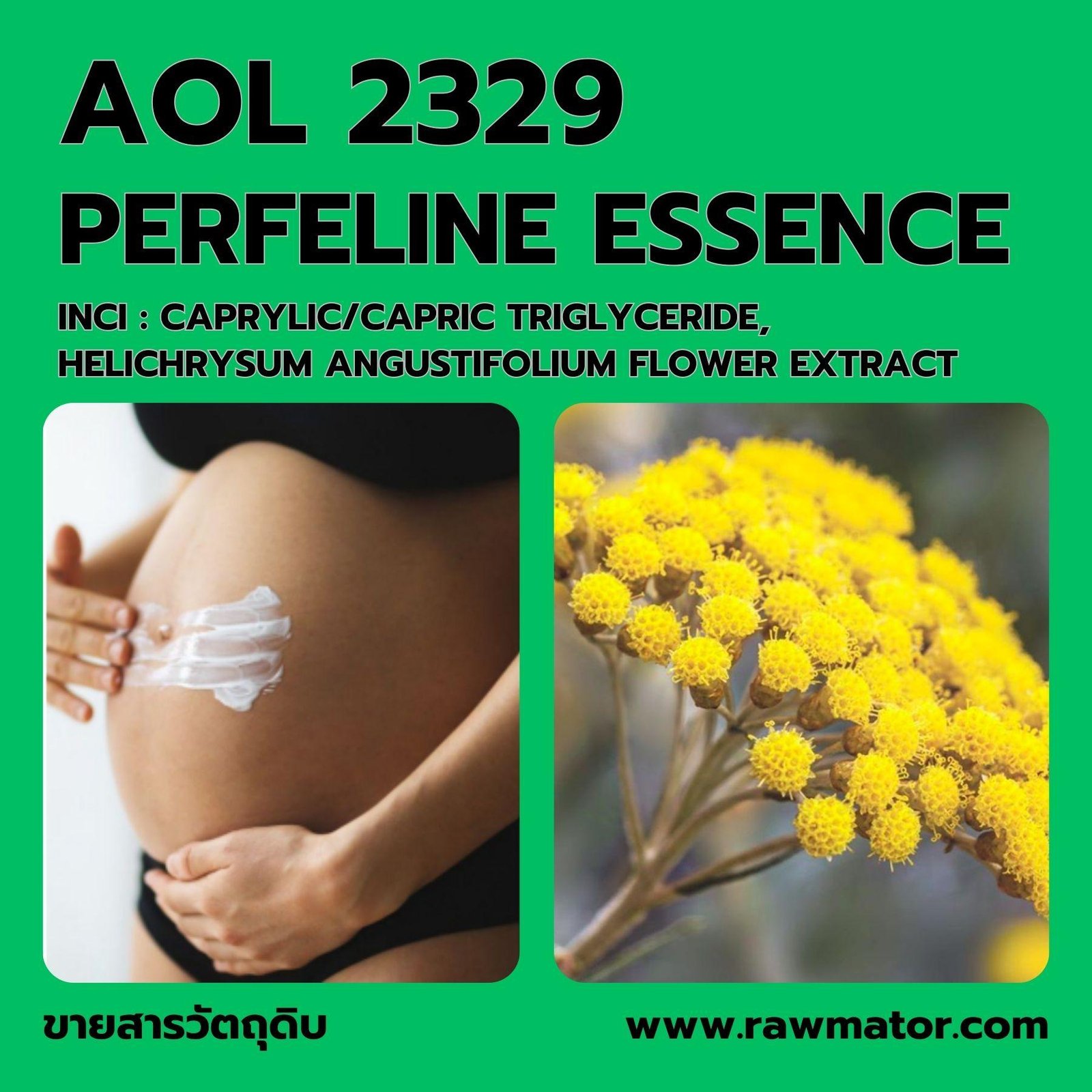 AOL 2329 : PERFELINE ESSENCE
