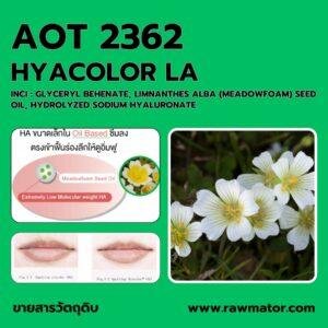 AOT 2362 : HYACOLOR LA