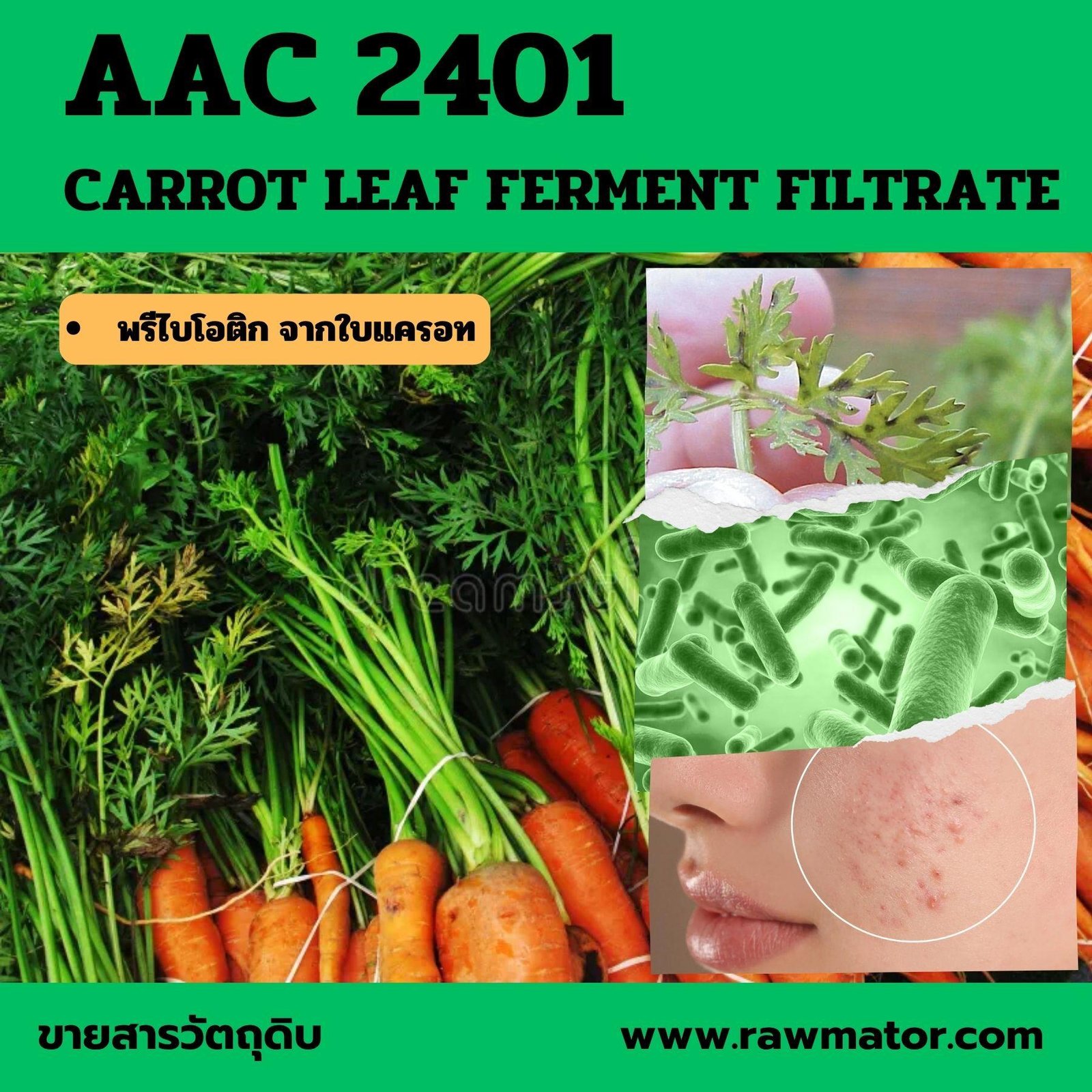 AAC 2401 : CARROT LEAF FERMENT FILTRATE