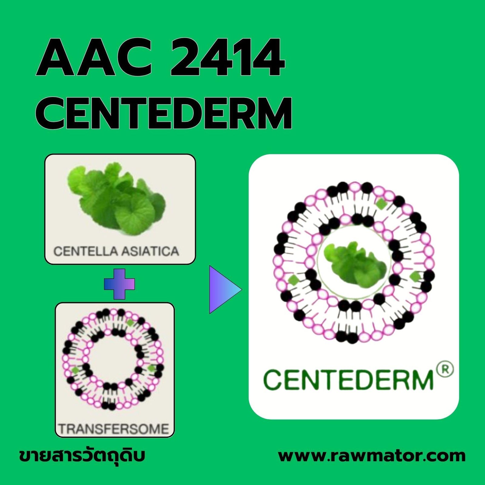 AAC 2414 : CENTEDERM