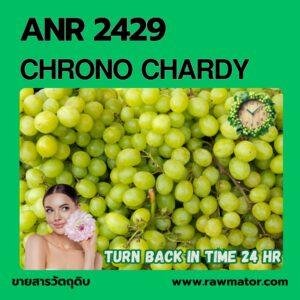 ANR 2429 : CHRONO CHARDY