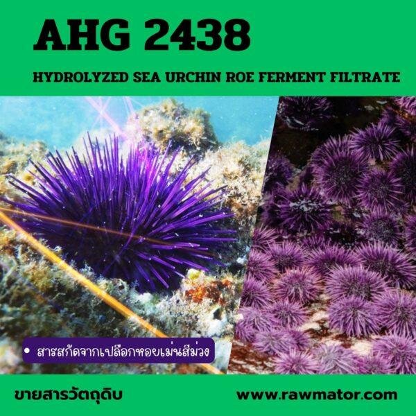 AHG 2438 : HYDROLYZED SEA URCHIN ROE FERMENT FILTRATE