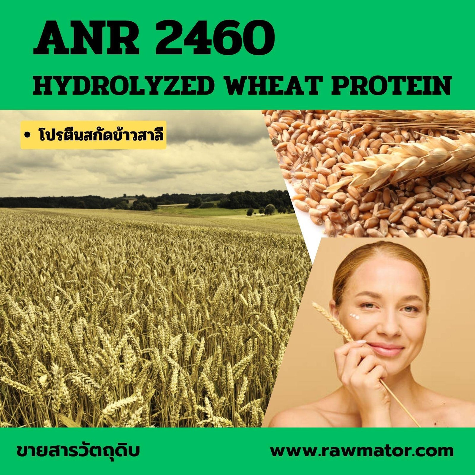 ANR 2460 : HYDROLYZED WHEAT PROTEIN