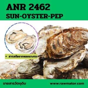 ANR 2462 : SUN-OYSTER-PEP