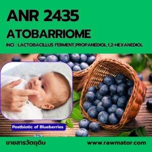 ANR 2435 : ATOBARRIOME