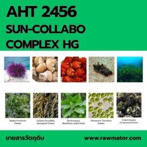 AHT 2457 : SUN-COLLABO COMPLEX HG