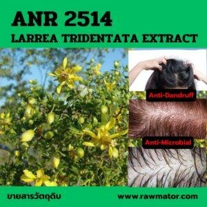 ANR 2514 : LARREA TRIDENTATA EXTRACT (ACTIVE PURE)