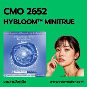 AAG 2652 : HYBLOOM MINITRUE