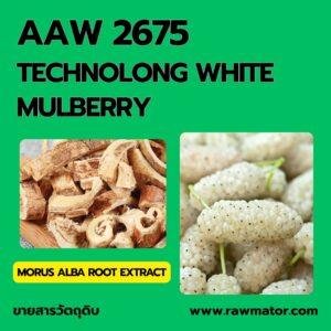 AAW 2675 : TECHNOLONG WHITE MULBERRY