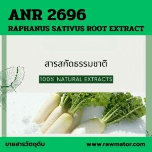 ANR 2696 : RADISH EXTRACT สารสกัดหัวไชเท้า