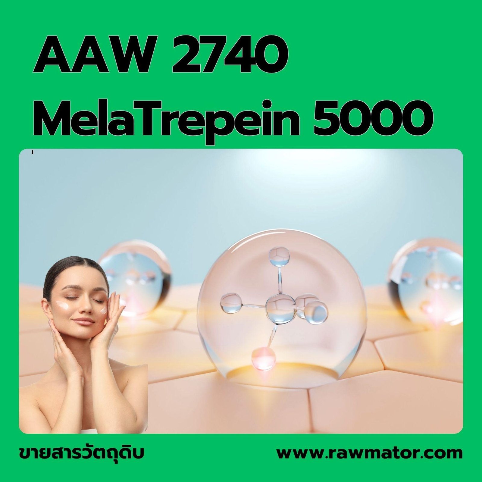 AAW 2740 : MelaTrepein 5000