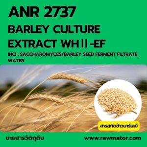 ANR 2737 : Barley Culture Extract WHⅡ-EF (สารสกัดข้าวบาร์เลย์)