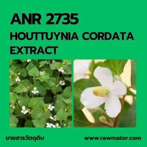 ANR 2735 : HOUTTUYNIA CORDATA EXTRACT